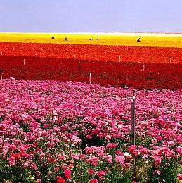 《8号出口》现已登陆Xbox 港服售价26港币